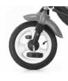 Tricicleta cu scaun reversibil Tomy Green
